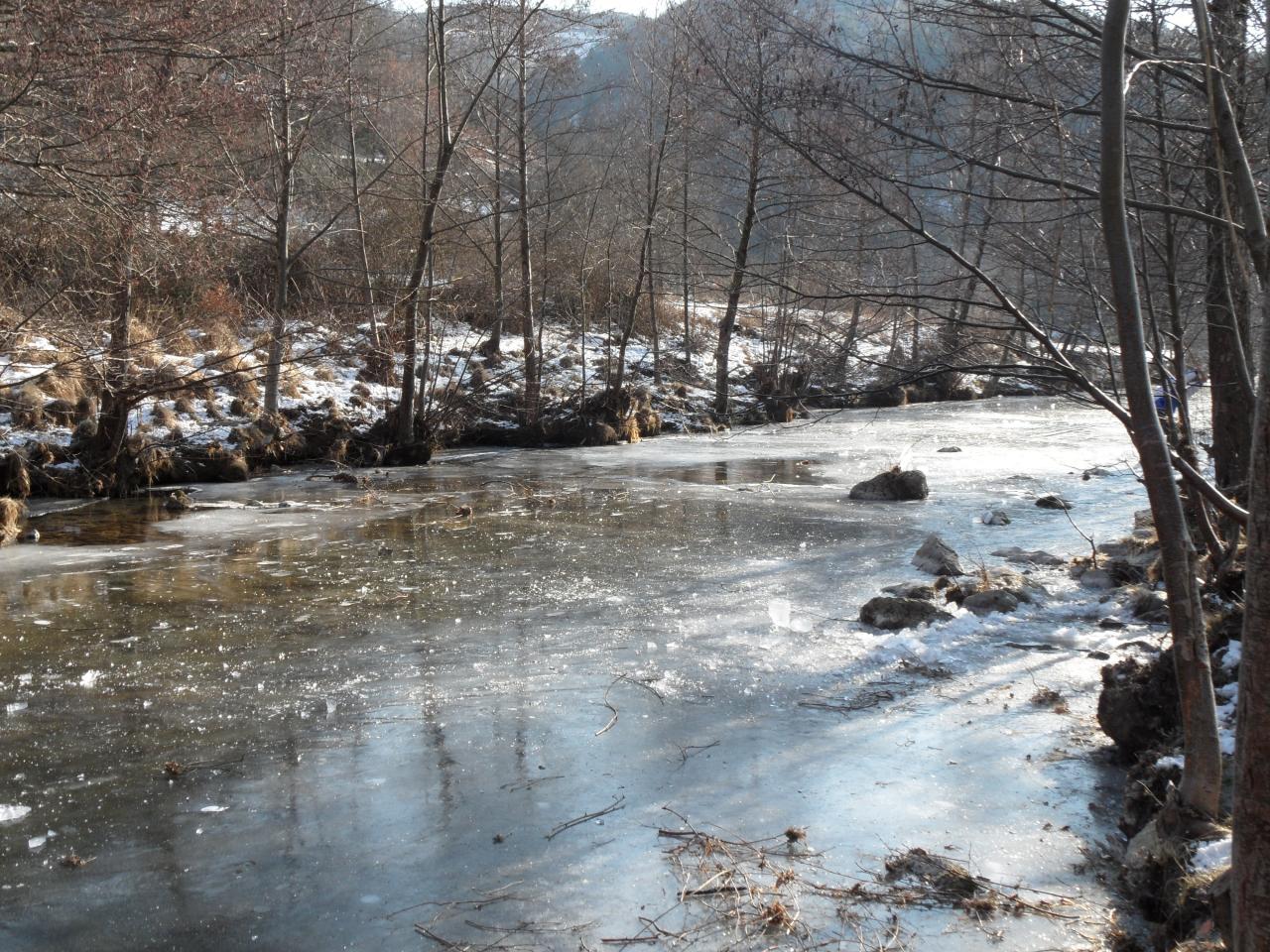 18-Trèves en Hiver, le Trévezel