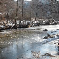 18-Trèves en Hiver, le Trévezel